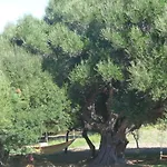 بيت للعطل Gli Olivastri Con Piscina,solarium, Vista Mare ,sole -mare E Tanta Natura ,climatizzatore,wifi