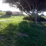 Gli Olivastri Con Piscina,solarium, Vista Mare ,sole -mare E Tanta Natura ,climatizzatore,wifi *