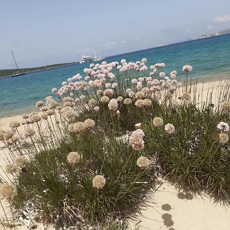 Gli Olivastri: Mediterranean Oasis With Pool And Sea View *