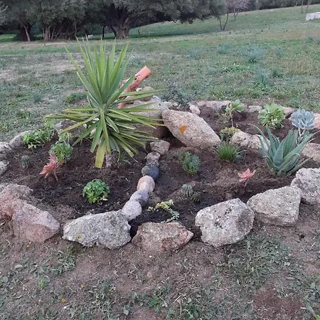Gli Olivastri Con Piscina,solarium, Vista Mare ,sole -mare E Tanta Natura ,climatizzatore,wifi *
