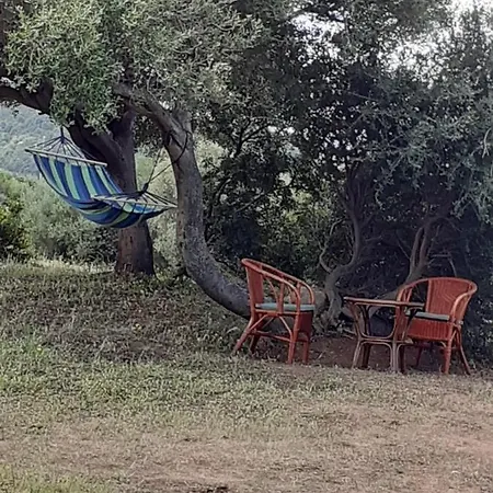 Gli Olivastri Con Piscina,solarium, Vista Mare ,sole -mare E Tanta Natura ,climatizzatore,wifi Vakantiehuis