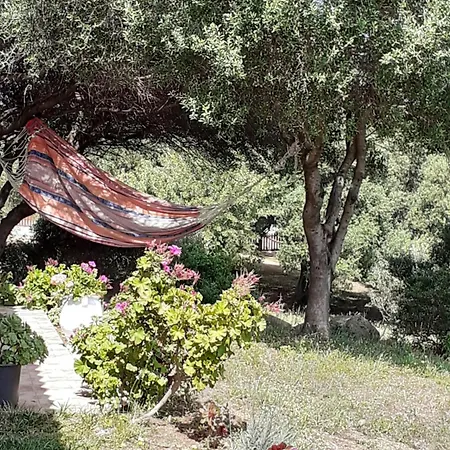 Gli Olivastri Con Piscina,solarium, Vista Mare ,sole -mare E Tanta Natura ,climatizzatore,wifi بيت للعطل