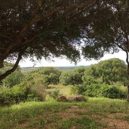 Gli Olivastri: Mediterranean Oasis With Pool And Sea View Holiday home