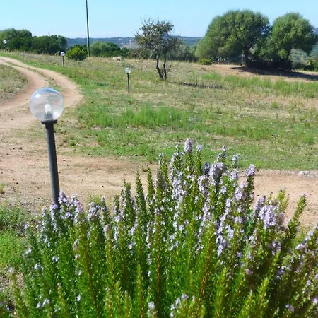 Holiday home Gli Olivastri: Mediterranean Oasis With Pool And Sea View *