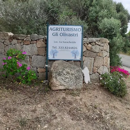 Gli Olivastri Con Piscina,solarium, Vista Mare ,sole -mare E Tanta Natura ,climatizzatore,wifi Hébergement de vacances Aglientu