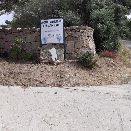 Semesterbostad Gli Olivastri Con Piscina,solarium, Vista Mare ,sole -mare E Tanta Natura ,climatizzatore,wifi Aglientu