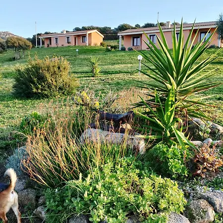 別荘 Gli Olivastri Con Piscina,solarium, Vista Mare ,sole -mare E Tanta Natura ,climatizzatore,wifi *