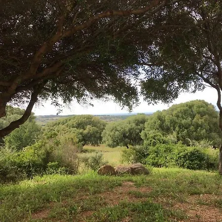 Gli Olivastri Con Piscina,solarium, Vista Mare ,sole -mare E Tanta Natura ,climatizzatore,wifi 別荘