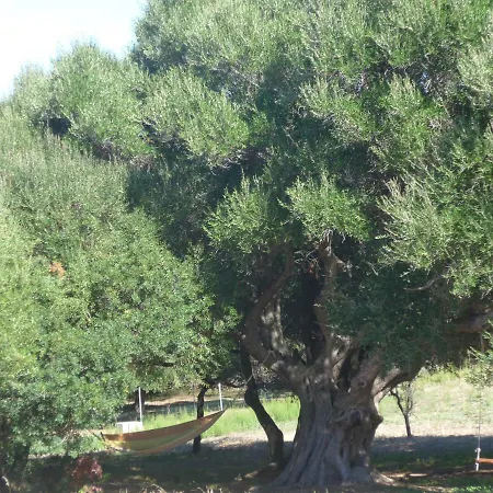 別荘 Gli Olivastri Con Piscina,solarium, Vista Mare ,sole -mare E Tanta Natura ,climatizzatore,wifi