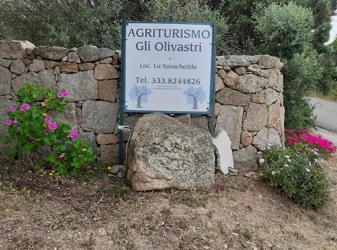 Gli Olivastri Casa vacanze Aglientu
