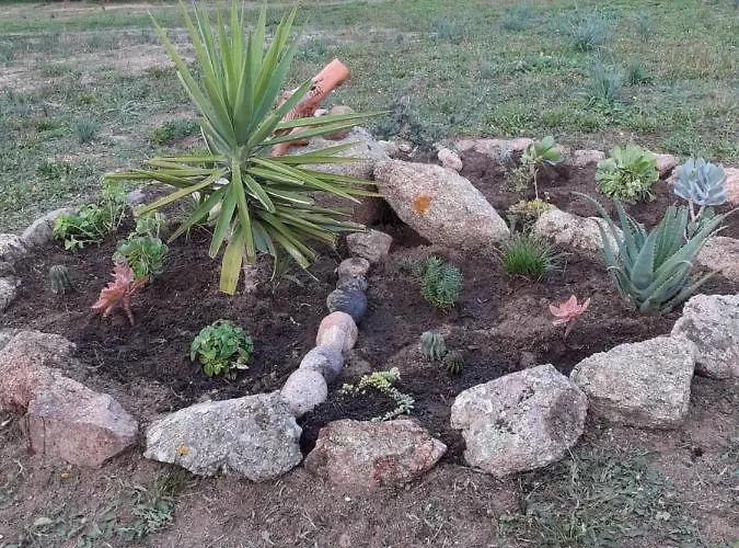 Gli Olivastri Con Piscina,solarium, Vista Mare ,sole -mare E Tanta Natura ,climatizzatore,wifi *