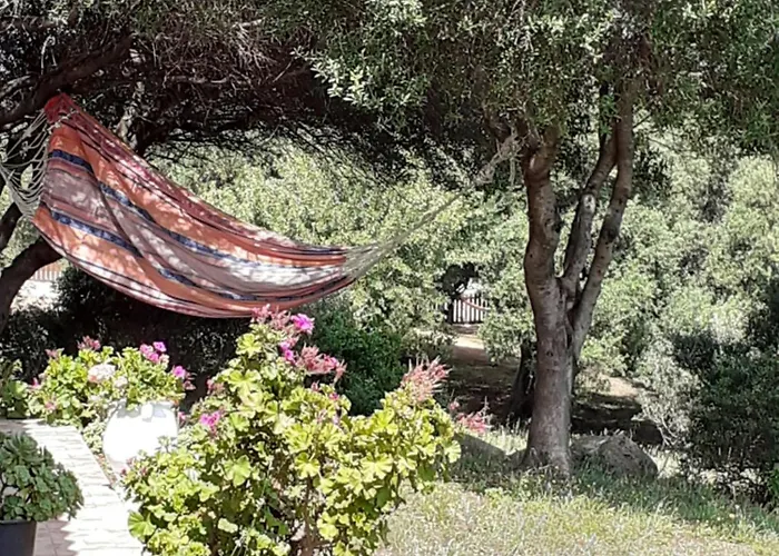 Gli Olivastri Casa vacanze