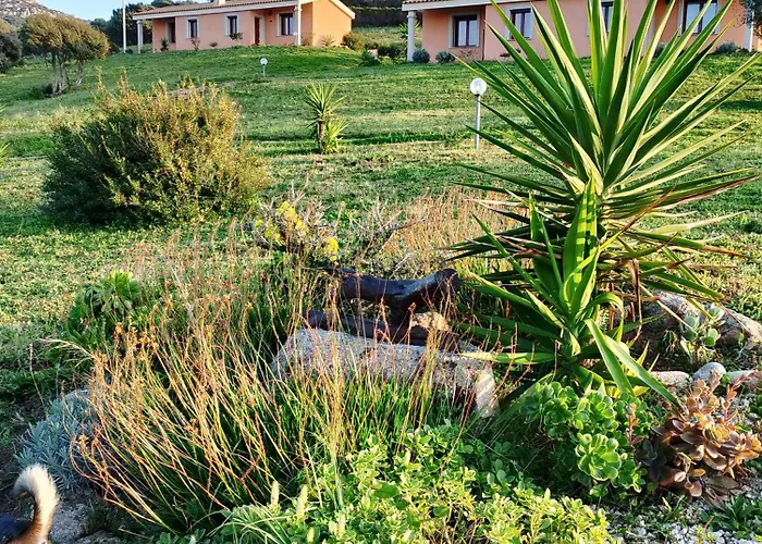 Casa vacanze Gli Olivastri *