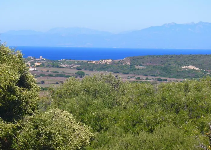 Casa vacanze Gli Olivastri
