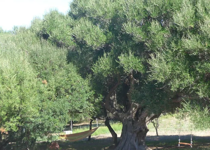Semesterbostad Gli Olivastri Con Piscina,solarium, Vista Mare ,sole -mare E Tanta Natura ,climatizzatore,wifi