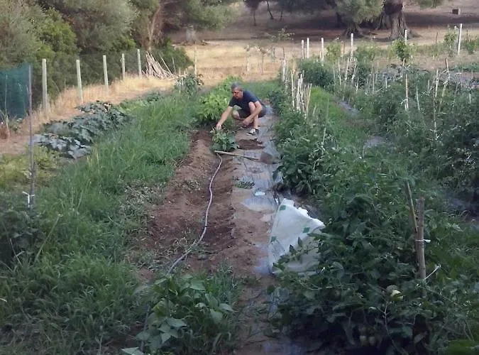 Casa vacanze Gli Olivastri